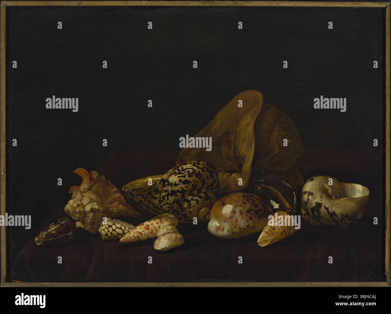 Muzeum Narodowe w Warszawie ; ; ;fot. Banque D'Images Muzeum Narodowe w Warszawie ; ; ;fot. Banque D'Images