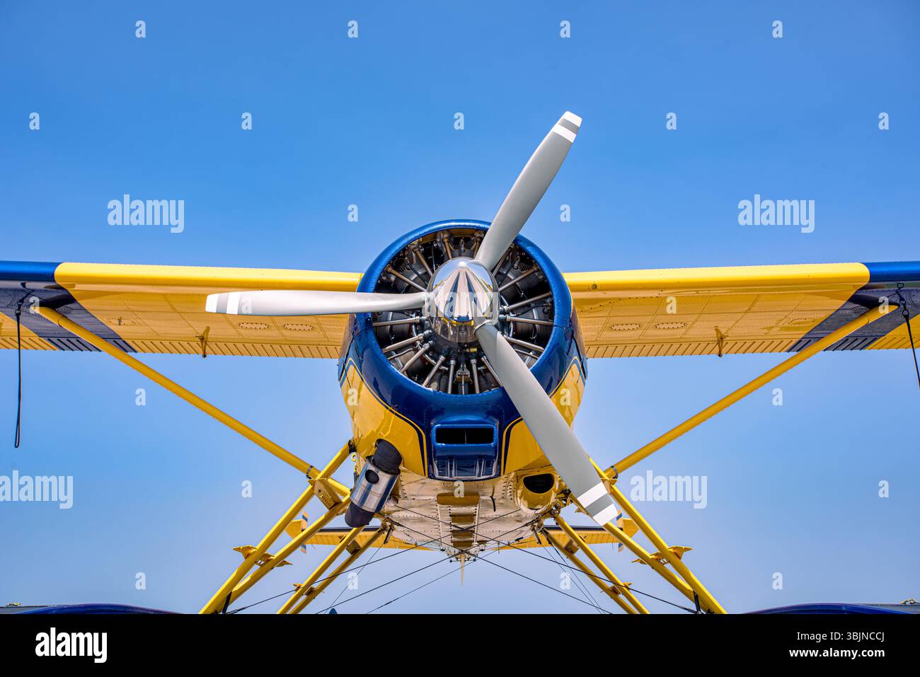 Vue de face d'un hydravion jaune et bleu vibrant avec une grande hélice, prêt pour l'aventure sur l'eau. Avion Bush, hydravion. Banque D'Images