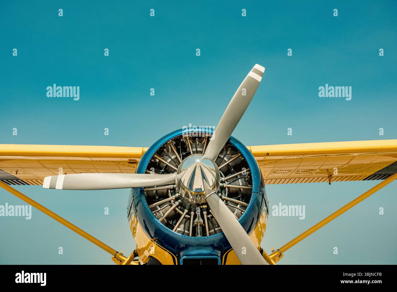 Gros plan frontal d'un ensemble moteur radial et hélice à plan de coussinet. Prise de vue sous le ciel dégagé avec ailettes cylindriques visibles et détail spinner. Banque D'Images