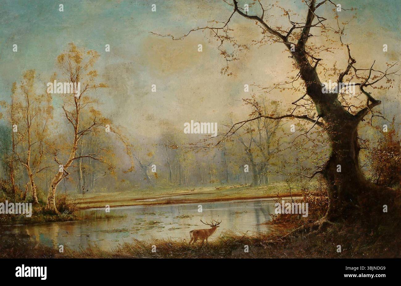 'En kronhjort ved en skovsø' de Niels H. Christiansen (1850-1922) représente un cerf près d'un lac boisé. La peinture à l'huile capture le cadre naturel paisible avec l'animal majestueux au premier plan. La scène est sereine, mettant en valeur la faune et la nature environnante. Cette œuvre a été créée entre 1874 et 1903. Banque D'Images