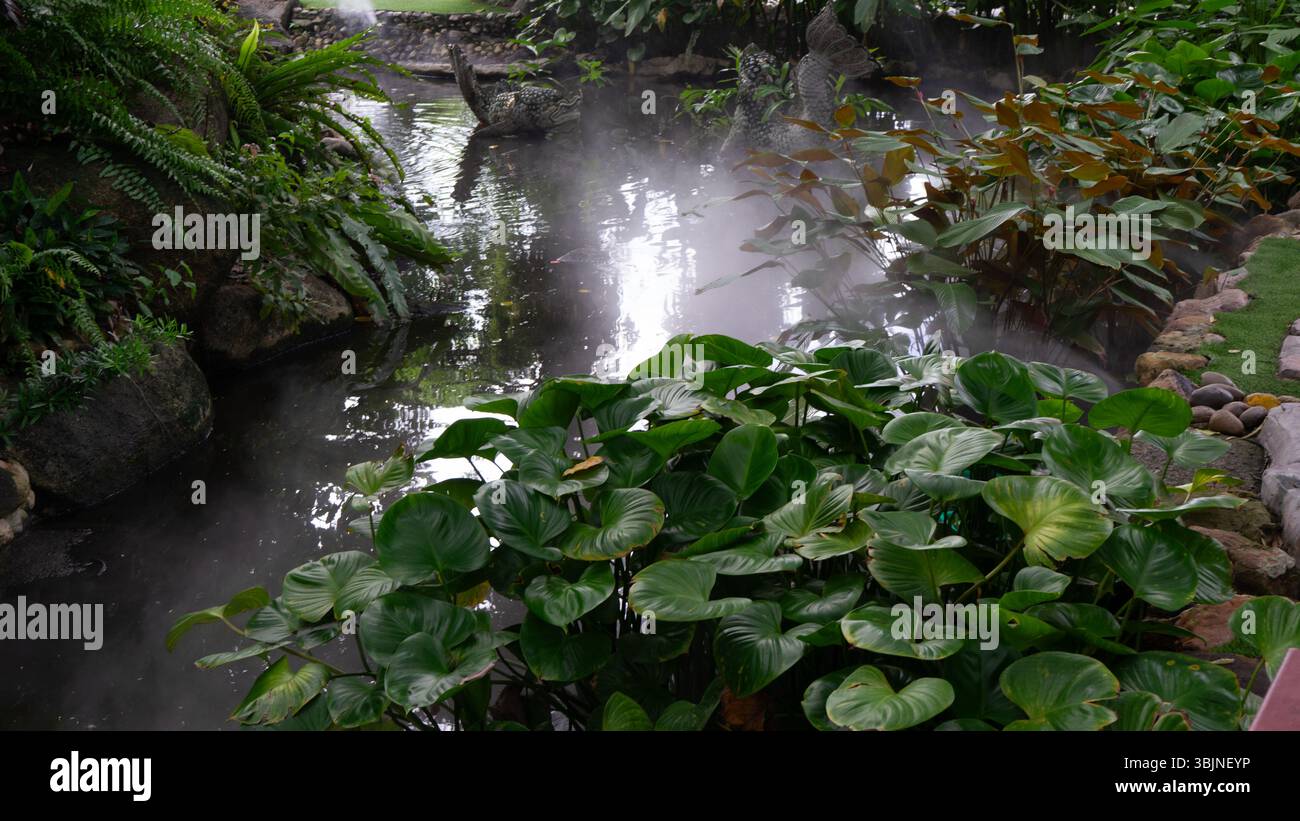 Jardin Thai Banque D'Images