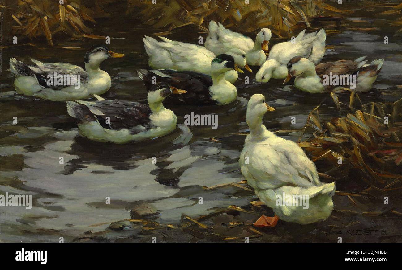 « Ducks in the Evening Sun » d'Alexander Koester capture un moment paisible dans la nature, avec des canards dans un cadre tranquille au coucher du soleil. La peinture à l’huile reflète l’habileté de l’artiste à représenter la faune et les paysages naturels. Banque D'Images