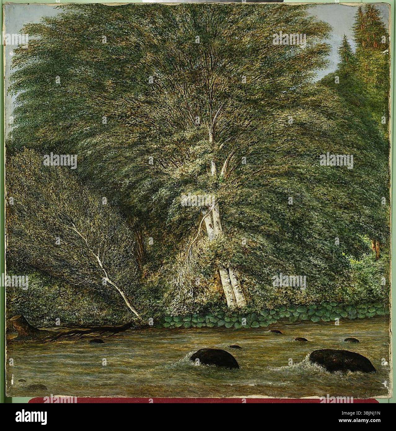 Muzeum Narodowe w Warszawie ; ; ;fot. Banque D'Images