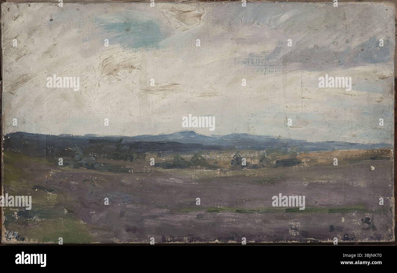 MP 1836 ; Ciągliński, Jan (1858-1913) (malarz) ; Pejzaż z Finlandii / ?/ ; po 1900 ; olej ; płótno ; 24,5 x 39,5 Banque D'Images MP 1836 ; Ciągliński, Jan (1858-1913) (malarz) ; Pejzaż z Finlandii / ?/ ; po 1900 ; olej ; płótno ; 24,5 x 39,5 Banque D'Images