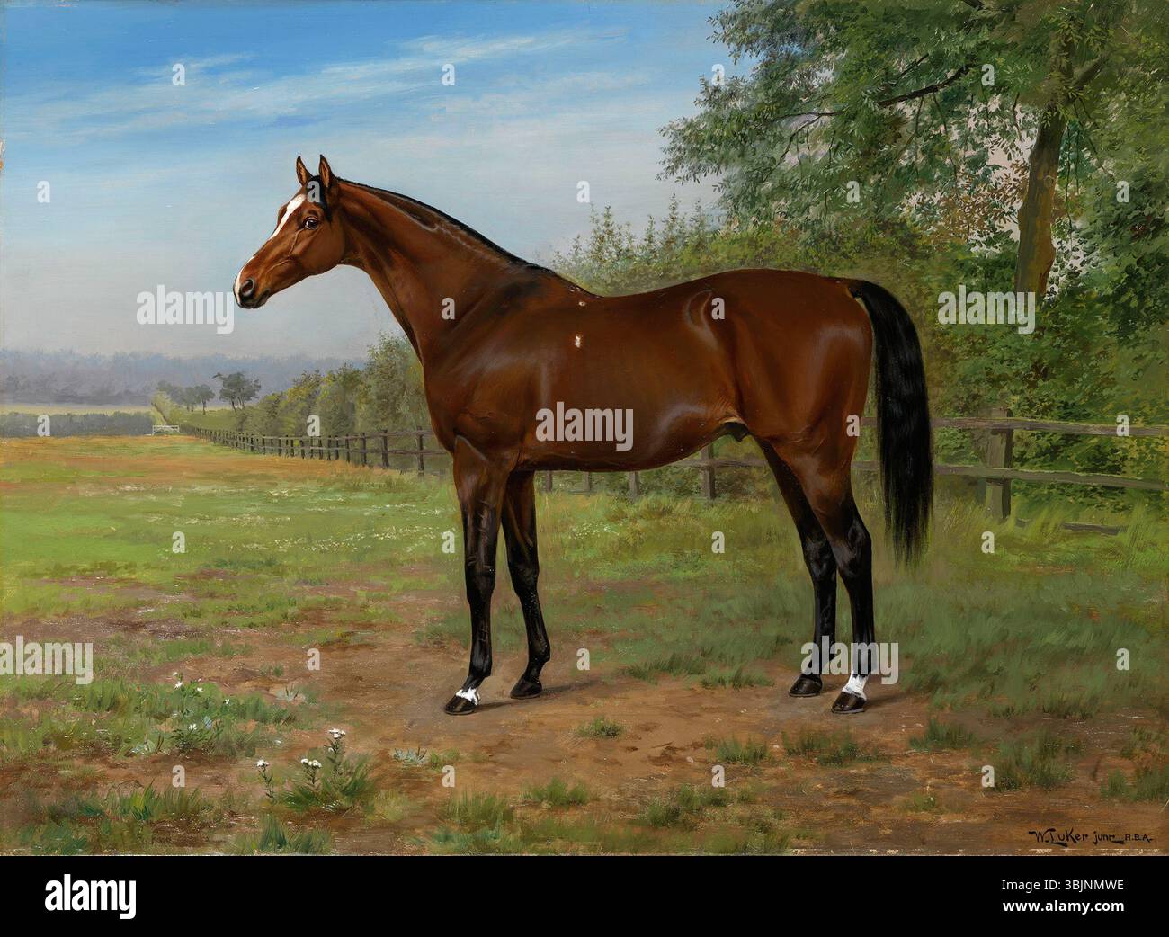 407383 Banque D'Images