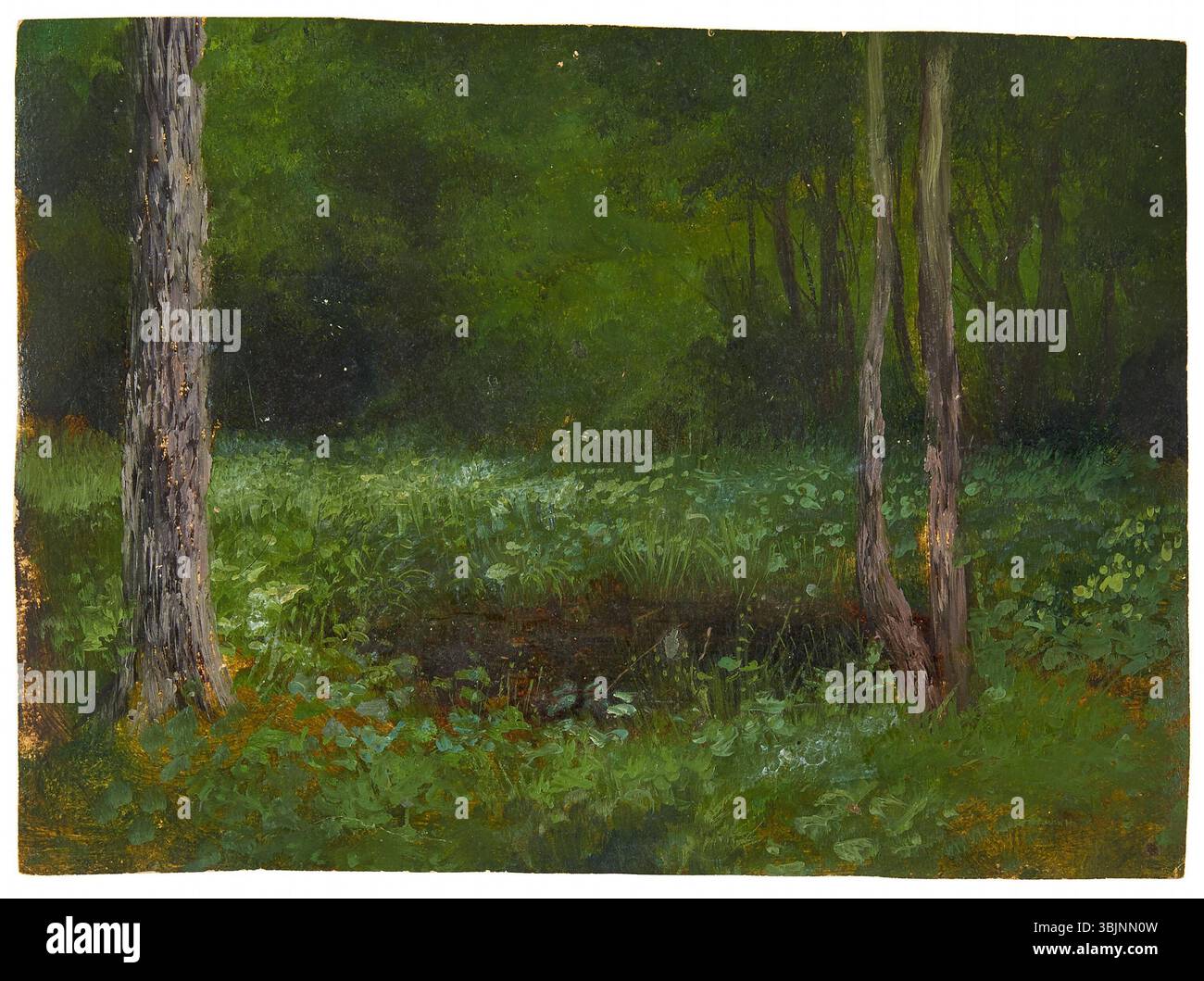 *Lichtung im Waldesinneren* d'August Piepenhagen est une peinture à l'huile sur papier qui représente un défrichement forestier. La scène capture l'atmosphère sereine de la nature, avec la lumière du soleil filtrant à travers les arbres. Banque D'Images