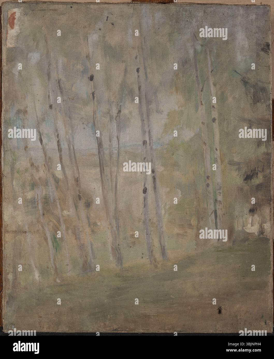 MP 1861 ; Ciągliński, Jan (1858-1913) (malarz) ; Mariino - brzózki ; 1889 ; olej ; płótno ; 53 x 43,5 Banque D'Images MP 1861 ; Ciągliński, Jan (1858-1913) (malarz) ; Mariino - brzózki ; 1889 ; olej ; płótno ; 53 x 43,5 Banque D'Images