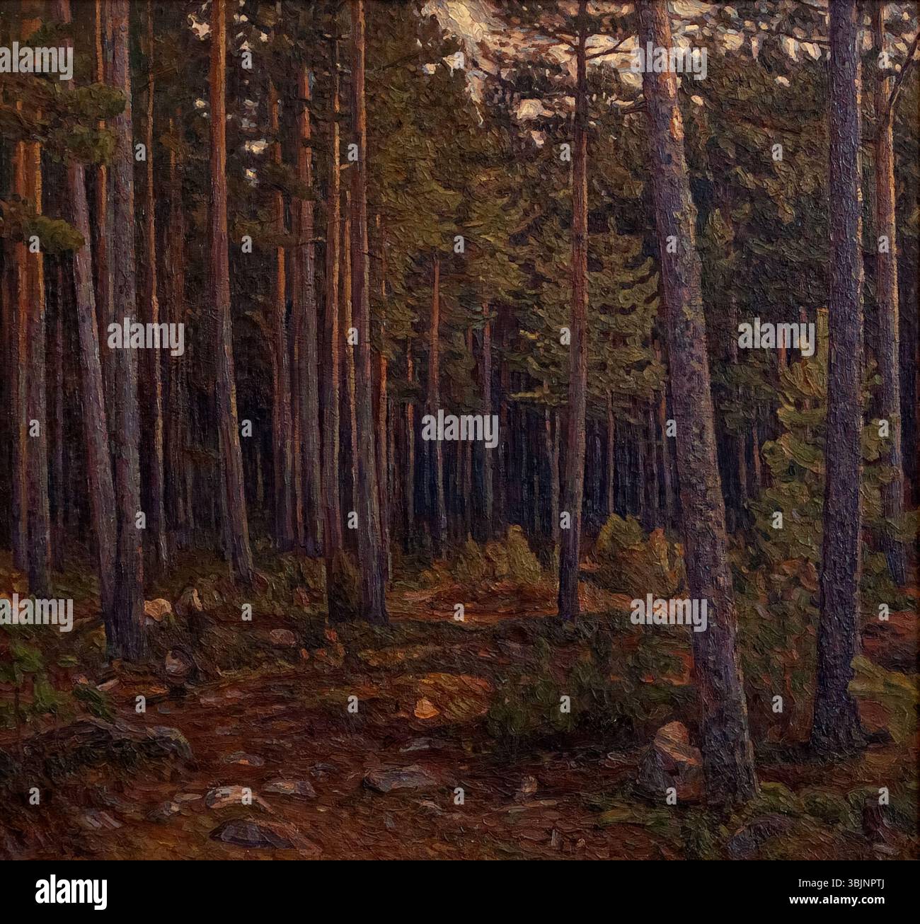 *Interior of a Coniferous Forest* de Herman Norrman (1904) met en valeur les arbres denses et imposants d’une forêt de conifères. La pièce reflète la sérénité et la profondeur de la nature, en mettant l’accent sur la verticalité et les riches textures de la forêt. Banque D'Images