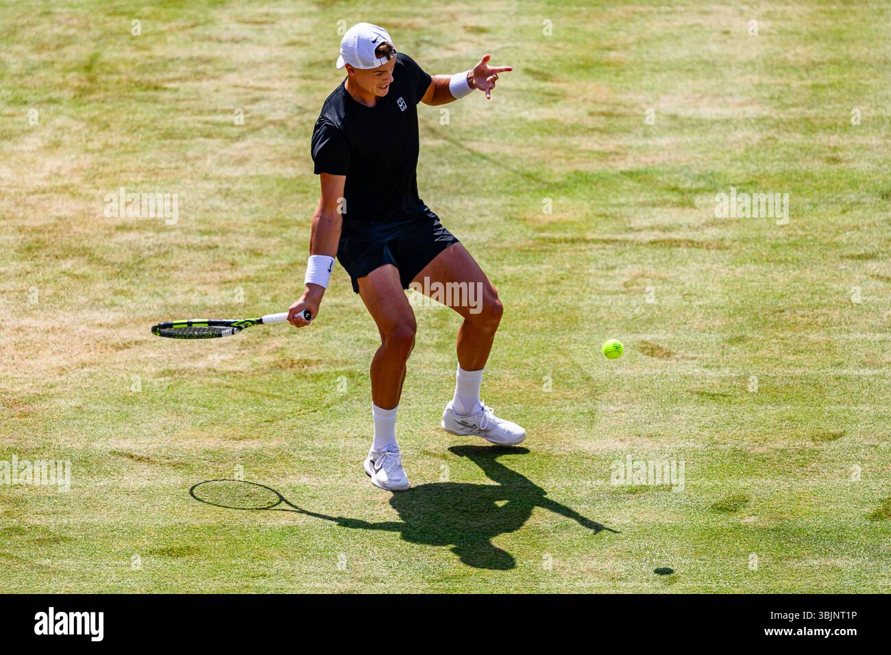 LONDRES, ROYAUME-UNI 16 juin : Holger Rune (DEN) en action contre Matteo ARNALDI (ITA) lors de l'ATP 500 le jour 8 des Championnats HSBC 2025 au Queen's Club le lundi 16 juin 2025 à LONDRES, ROYAUME-UNI. Crédit : Taka Wu/Alamy Live News Banque D'Images LONDRES, ROYAUME-UNI 16 juin : Holger Rune (DEN) en action contre Matteo ARNALDI (ITA) lors de l'ATP 500 le jour 8 des Championnats HSBC 2025 au Queen's Club le lundi 16 juin 2025 à LONDRES, ROYAUME-UNI. Crédit : Taka Wu/Alamy Live News Banque D'Images