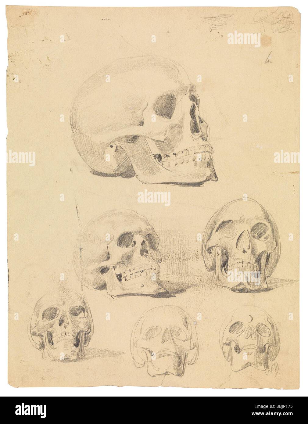 *6 Schädelstudien* (v. 1860) de Wilhelm Busch est une série de six croquis de crânes sur papier jaunâtre. Mesurant 31,2 x 24 cm, l'œuvre illustre les études anatomiques de Busch et son approche détaillée de la forme humaine. Banque D'Images