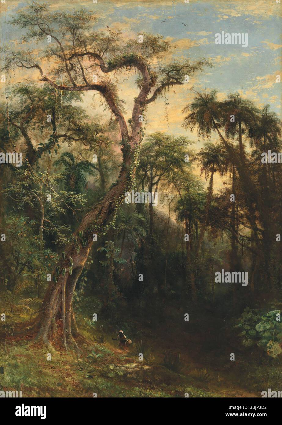 'La forêt tropicale cubaine' de Henri Cleenewerck (1818-1901) est une huile sur toile représentant la forêt tropicale cubaine luxuriante. La pièce met en valeur la flore tropicale, la verdure vibrante et la riche biodiversité de l'environnement caribéen. Banque D'Images