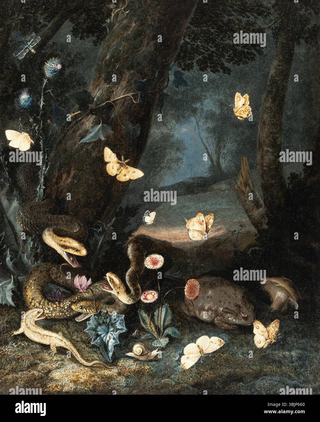 La nature morte de 1663 d’Otto Marseus van Schrieck présente trois serpents, un lézard et un crapaud posés contre le sol forestier. Le travail met l’accent sur le réalisme et la texture des peaux et de l’environnement naturel des animaux. Banque D'Images