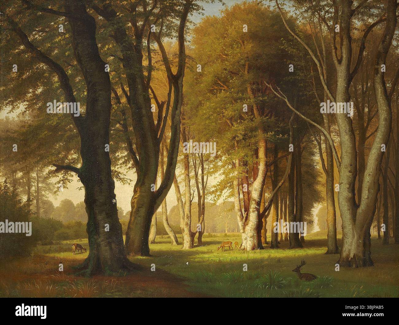 Eiler Rasmussen le tableau de 1870 « Parti fra Dyrehaven » d'Eilersen représente une vue depuis Dyrehaven, un parc forestier près de Copenhague. Le travail à l'huile sur toile met en valeur la beauté naturelle du parc avec des paysages sereins et une verdure riche. Banque D'Images