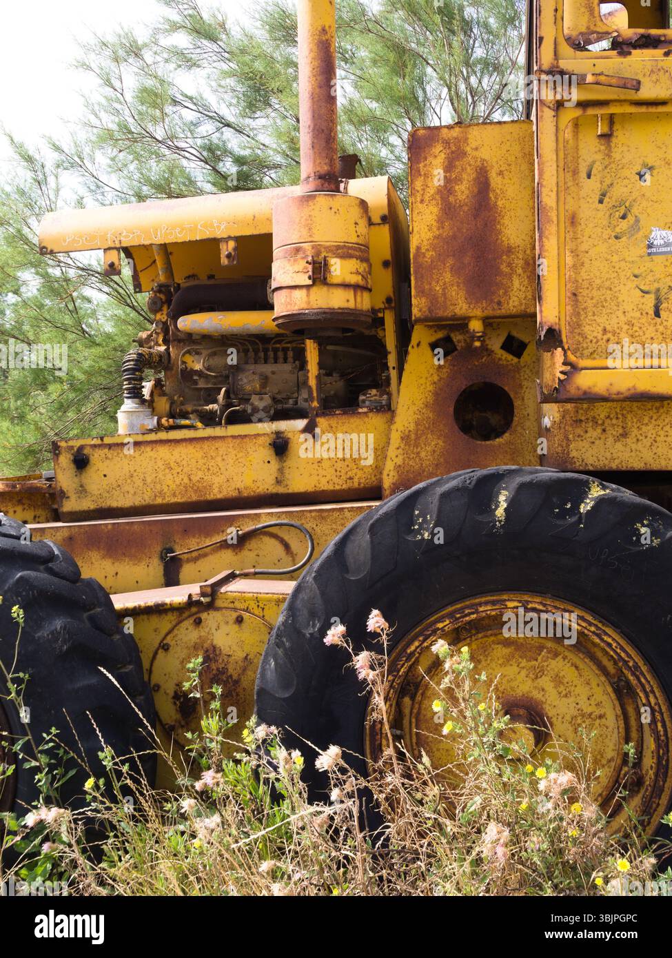 Tracteur jaune usé détaillé entouré d'herbes hautes, de plantes sauvages et d'une atmosphère rurale paisible. Banque D'Images