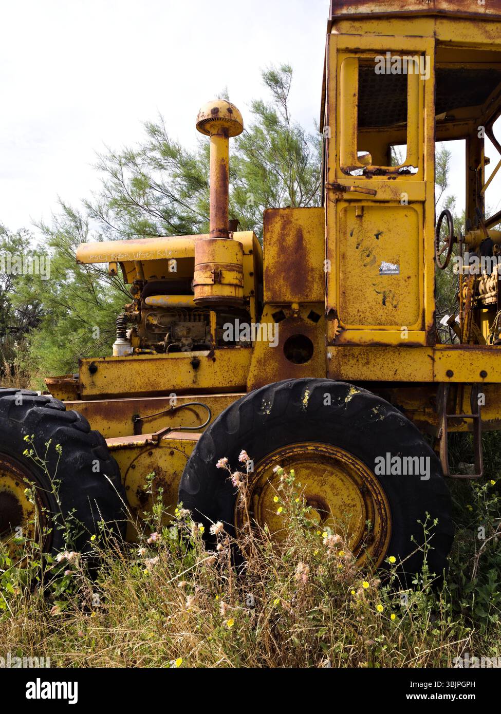 Tracteur jaune rouillé en gros plan, situé dans une haute prairie d'été avec des fleurs sauvages délicates et un fond touffu, créant le charme rustique de la campagne. Banque D'Images