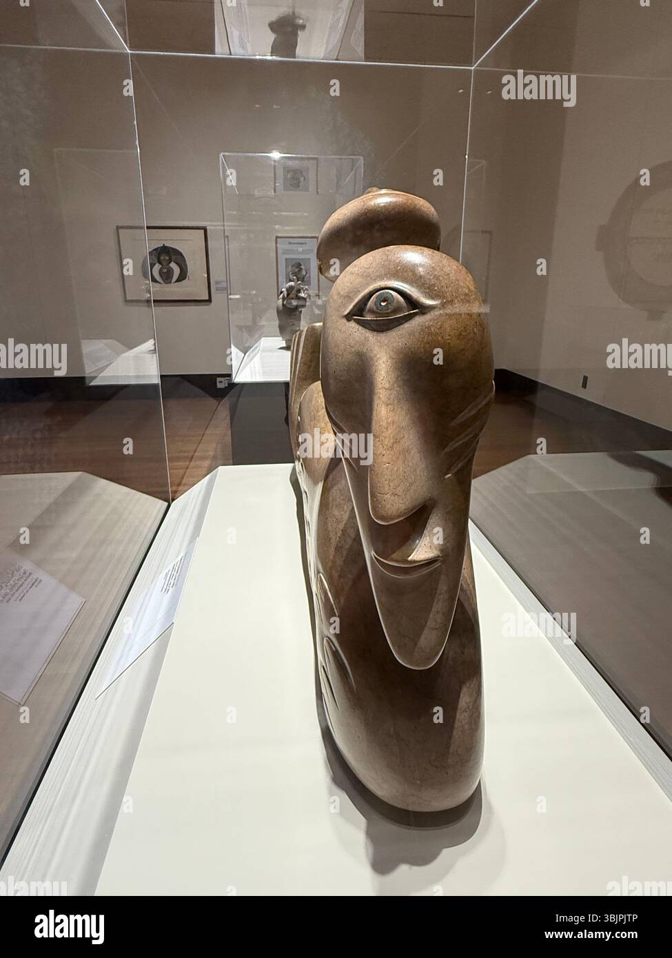 Art inuit de l'exposition « voix de l'Arctique », Musée Eiteljorg des Indiens d'Amérique et de l'Art occidental, Indianapolis, Indiana, États-Unis Banque D'Images