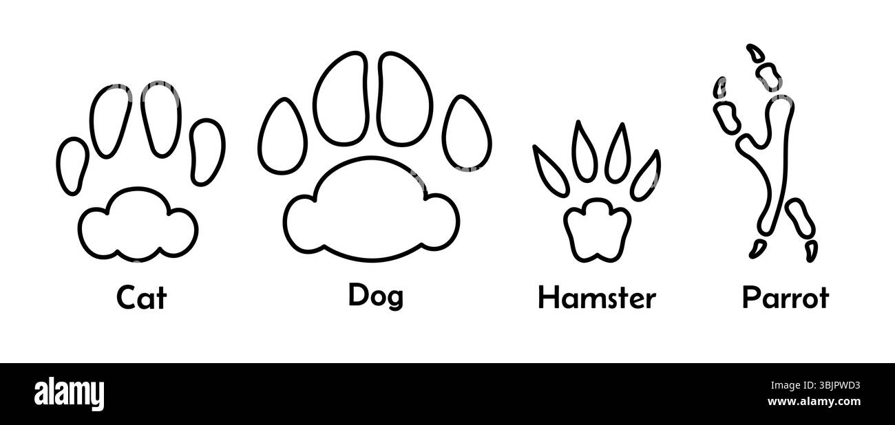PET PAWS imprime un ensemble de dessins de doodle. Illustration vectorielle d'empreinte de chien de chat et de hamster Illustration de Vecteur