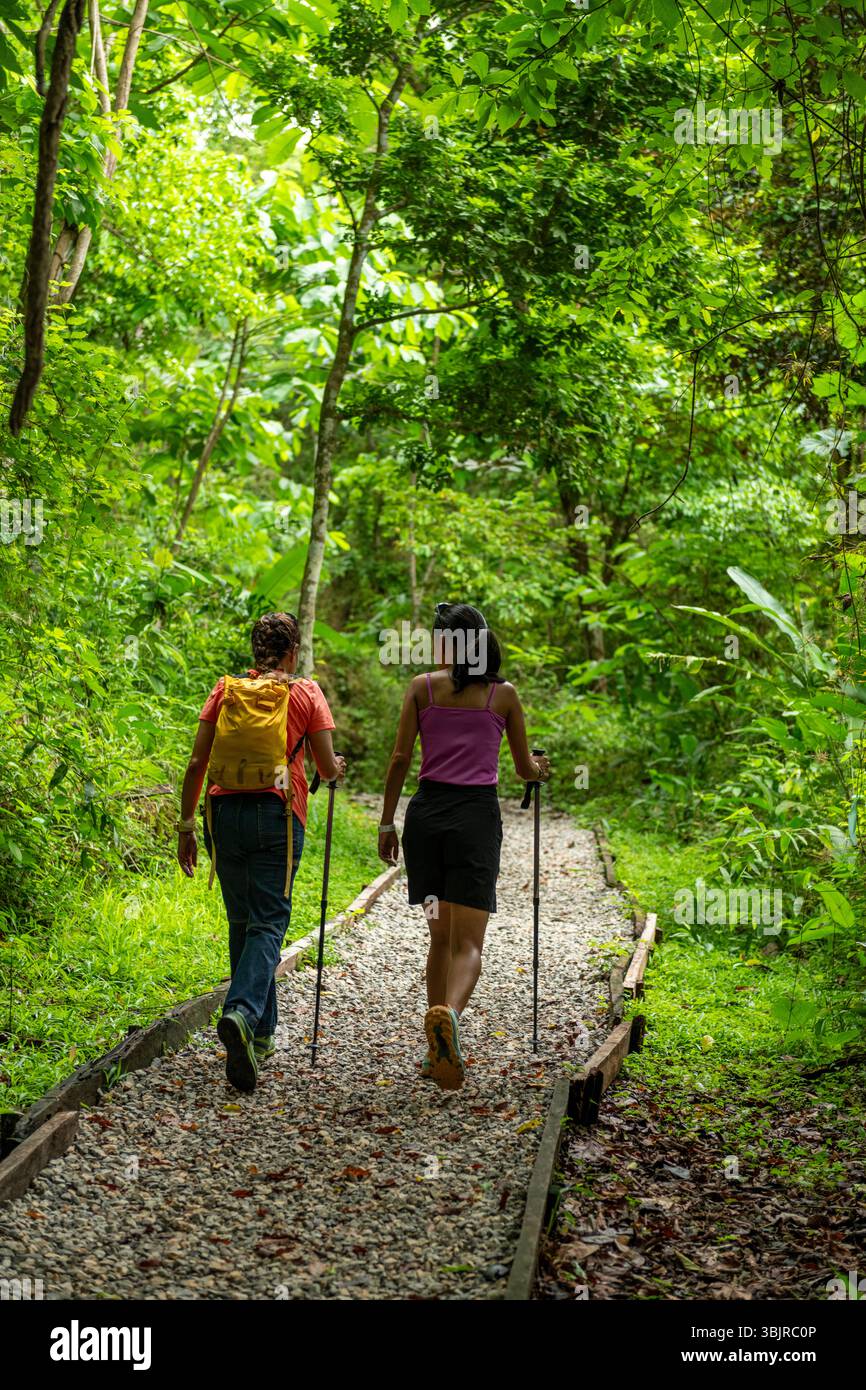 Deux femmes trekking dans la forêt tropicale, parc naturel métropolitain, Panama City, Panama - photo stock Banque D'Images