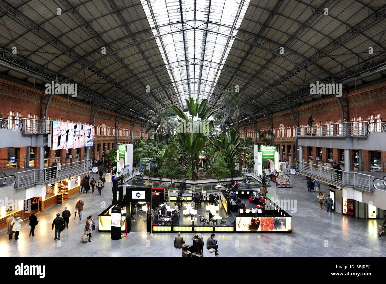 Jardin tropical dans le hall de la gare, gare d'Atocha, Estacion de Puerta de Atocha, centre-ville, Madrid, Espagne, Europe Banque D'Images
