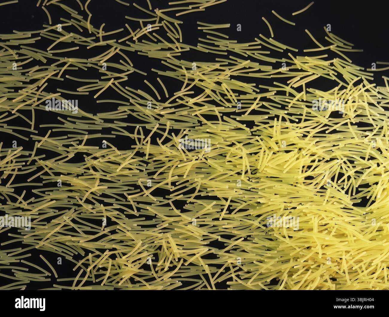 Les vermicelles (pâtes) sur la surface de miroir noir comme si suspendu dans l'air nocturne. Pour la publicité des produits alimentaires Banque D'Images