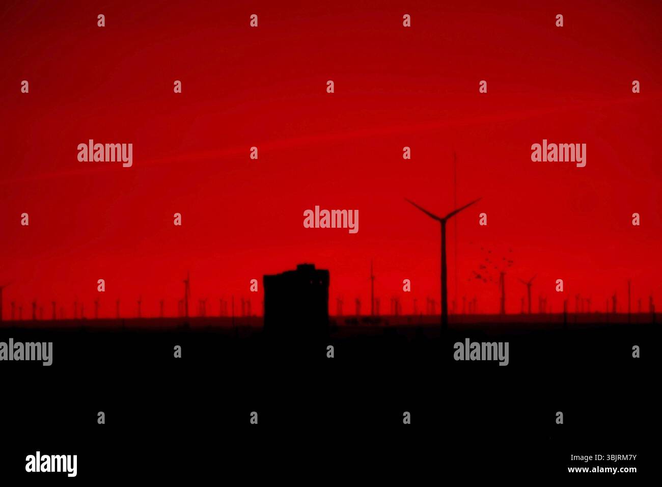 Le champ des éoliennes au coucher du soleil. Soirée dans les prairies sombres sans vent (temps calme), les moulins à vent se sont givrées. Inconvénient concept d'énergie propre Banque D'Images Le champ des éoliennes au coucher du soleil. Soirée dans les prairies sombres sans vent (temps calme), les moulins à vent se sont givrées. Inconvénient concept d'énergie propre Banque D'Images