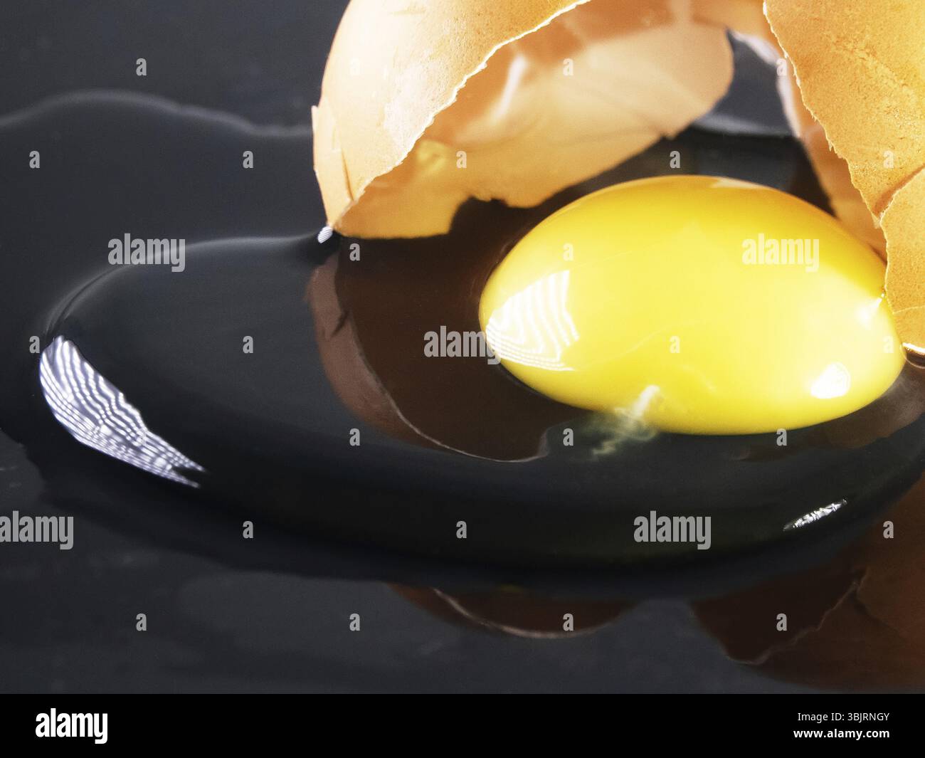 La coquille est cassée et le contenu de l'oeuf est sorti sur un fond miroir noir. œufs brouillés en produit semi-fini Banque D'Images