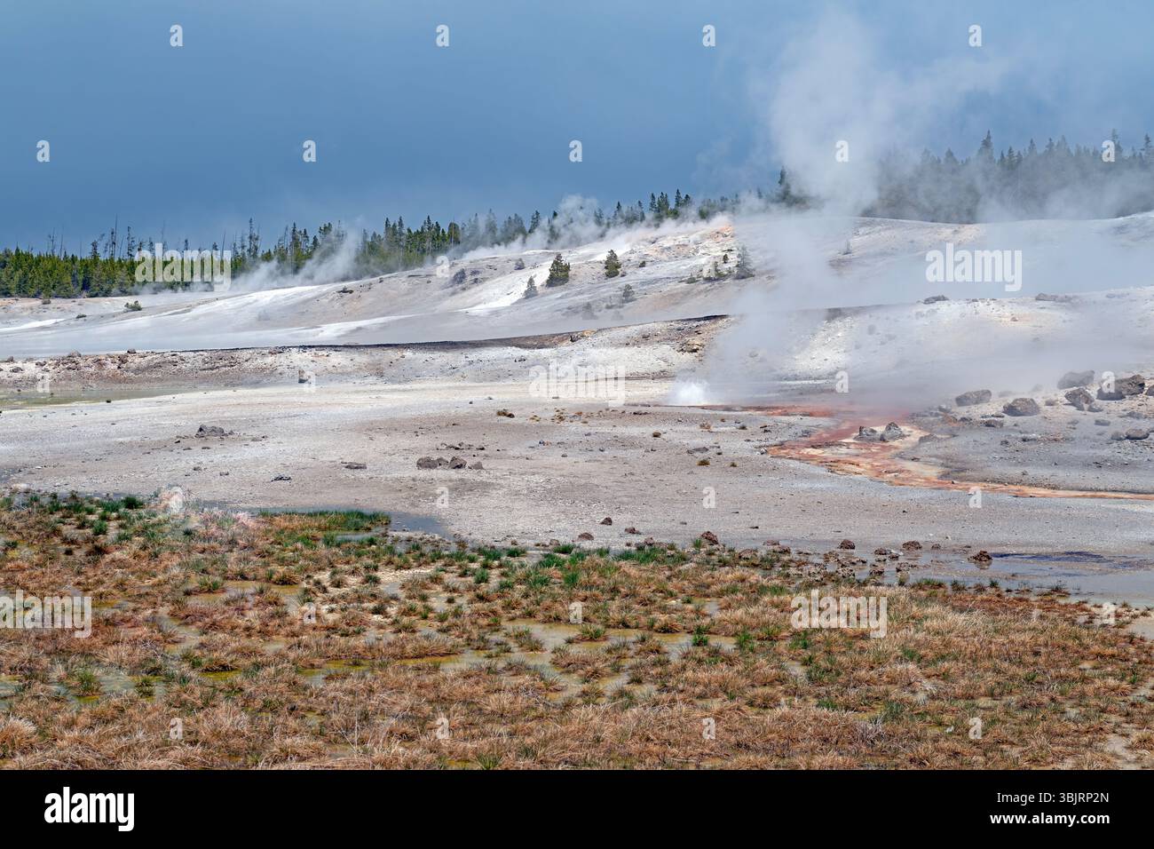 Vapeur s'élevant d'une zone thermale d'Albâtre dans le bassin de porcelaine dans le parc national de Yellowstone Banque D'Images
