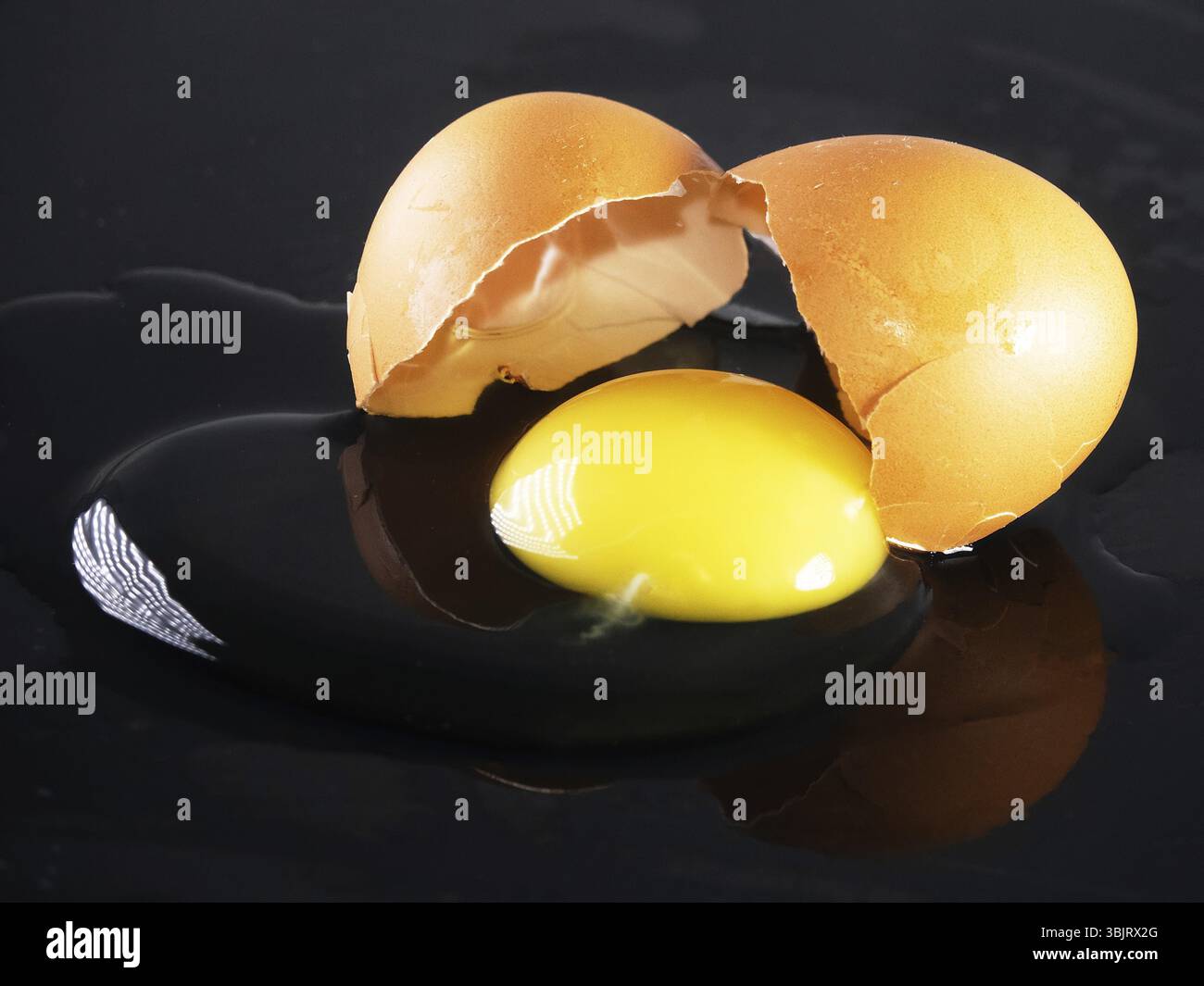 La coquille est cassée et le contenu de l'oeuf est sorti sur un fond miroir noir. œufs brouillés en produit semi-fini Banque D'Images