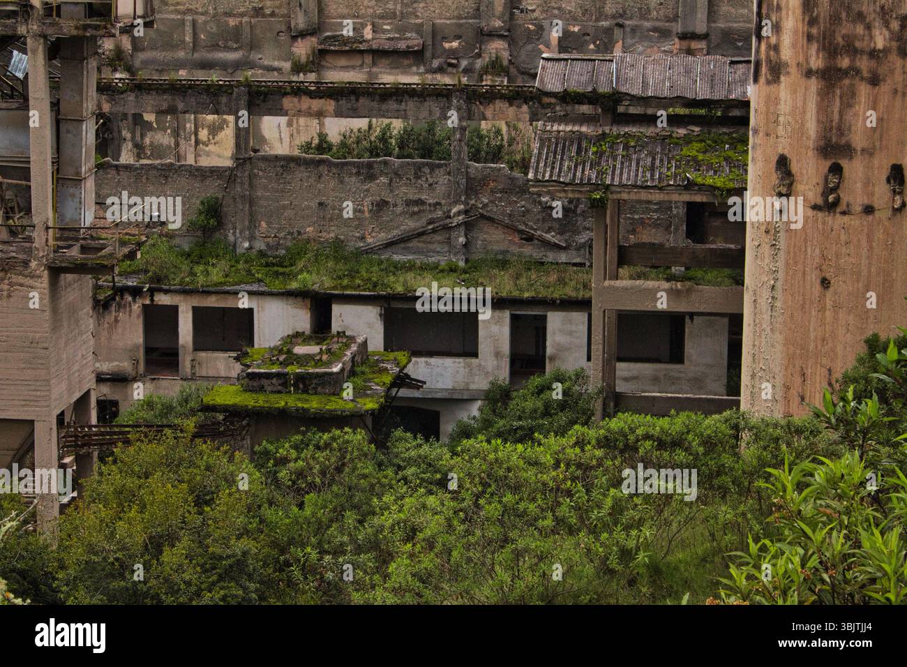 Mine abandonnée à la Calera près de Bogotá, en Colombie, un site de ruines industrielles et d'histoire oubliée dans les montagnes andines. Banque D'Images