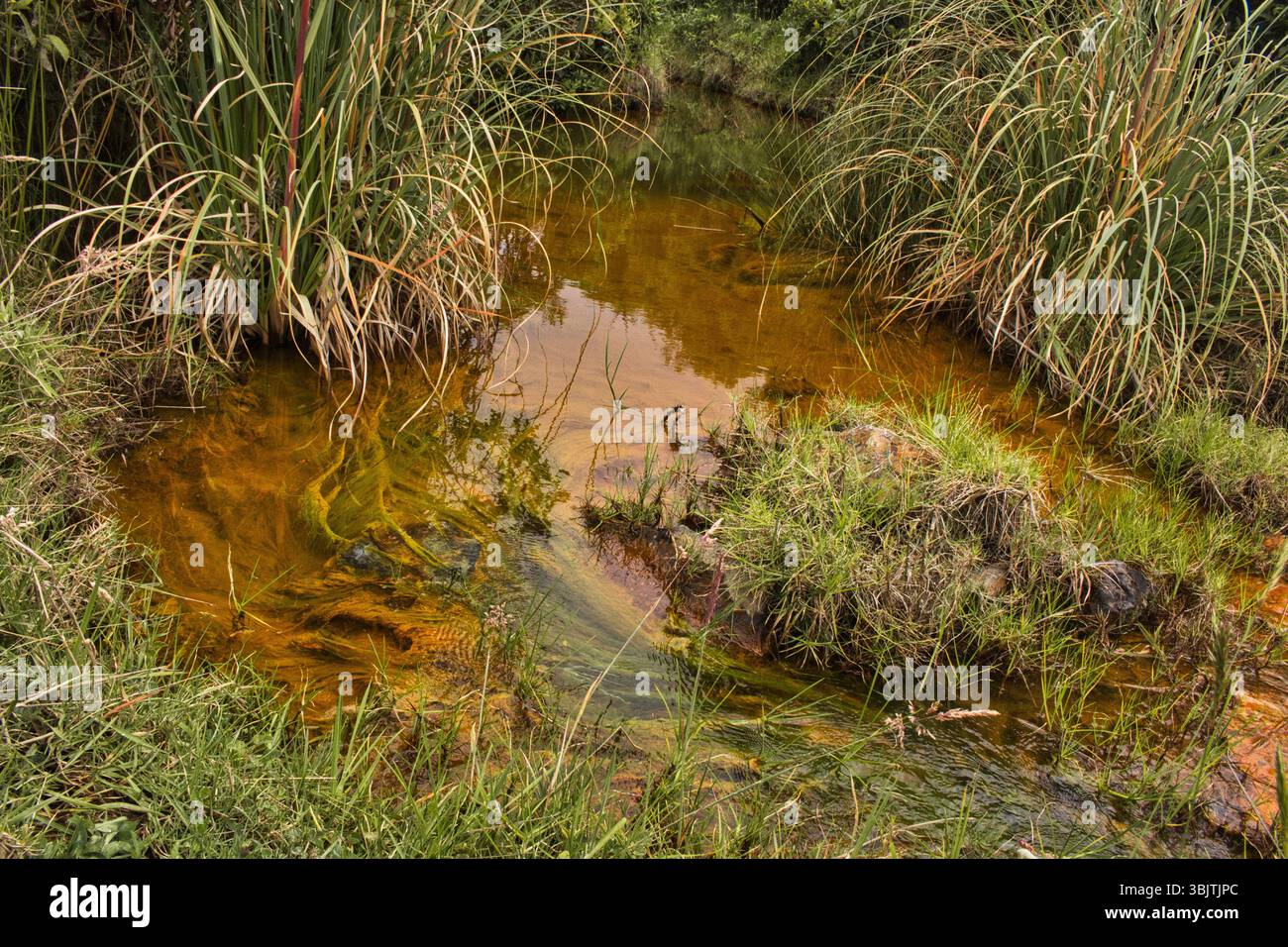 Mine abandonnée à la Calera près de Bogotá, en Colombie, un site de ruines industrielles et d'histoire oubliée dans les montagnes andines. Banque D'Images