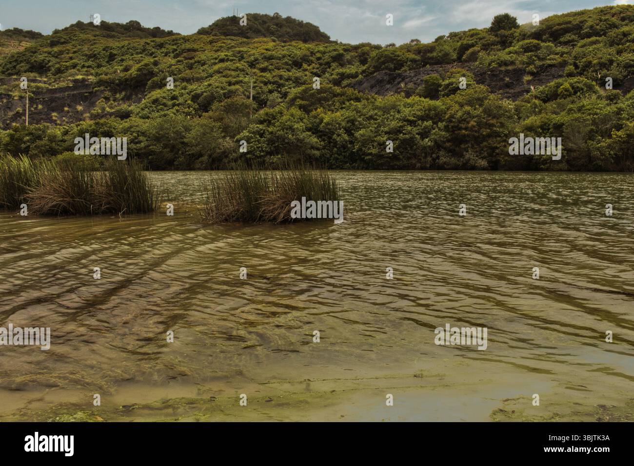 Mine abandonnée à la Calera près de Bogotá, en Colombie, un site de ruines industrielles et d'histoire oubliée dans les montagnes andines. Banque D'Images