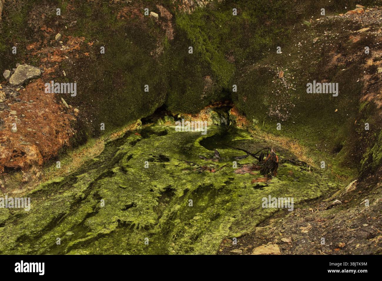 Mine abandonnée à la Calera près de Bogotá, en Colombie, un site de ruines industrielles et d'histoire oubliée dans les montagnes andines. Banque D'Images
