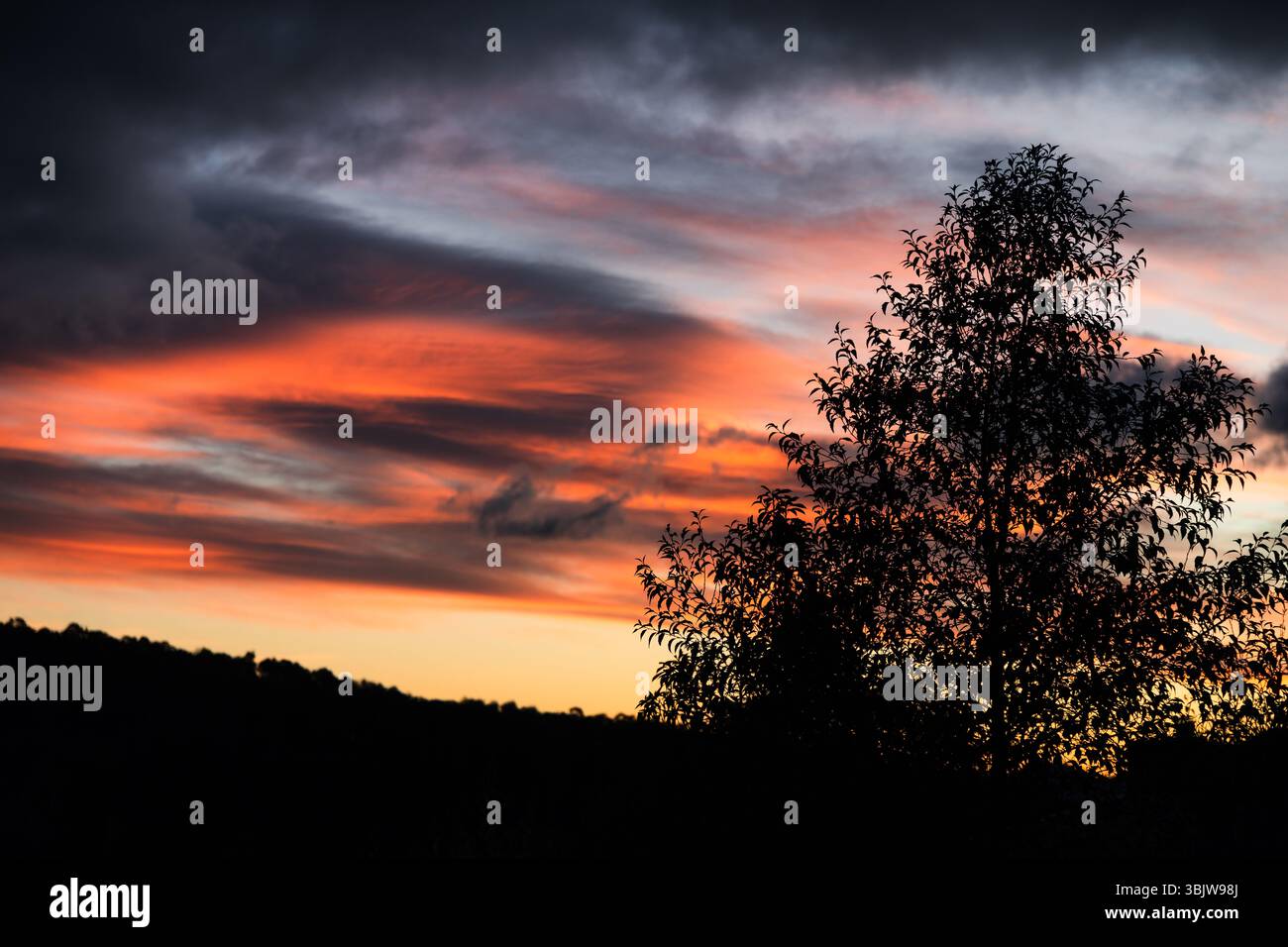 un ciel de coucher de soleil rose éclatant avec des nuages sur les collines et un arbre silhouette au premier plan Banque D'Images