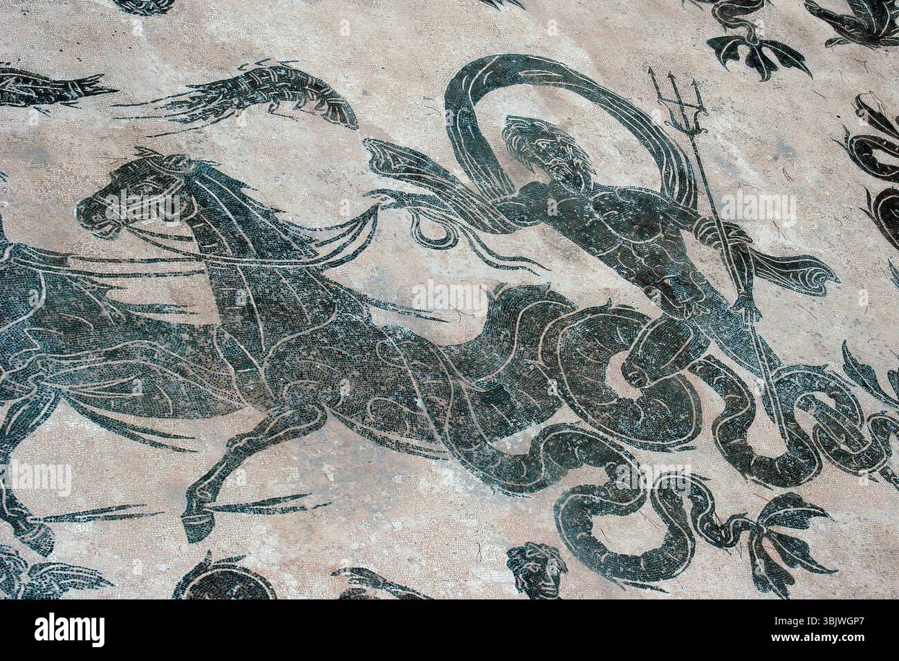 Italie. Ostia Antica. Bains de Neptune. Mosaïque du Dieu de la mer chevauchant un char tiré par quatre chevaux qui paient. Banque D'Images
