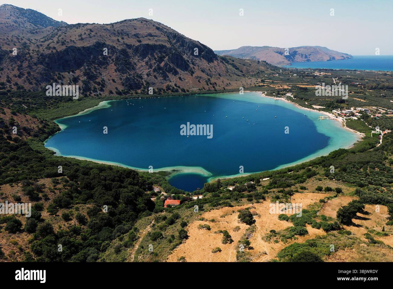 07.06.2025 , xsvx, Reise Urlaub, Griechenland Kreta emwir, v.l. Lake Kournas. Der Kournas-See griechisch ÎÎÎ¼Î½Î ÎºÎÏÖÏÎ½Î ist der einzige natürliche Süßwassersee auf Kreta. Er liegt in einem Tal umgeben von Bergen und üppigem Grün, etwa 4 km von Georgioupolis entfernt, in der Region Chania. Voir Kournas Kournas *** 07 06 2025 , xsvx, vacances de voyage, Grèce Crète emwir, v l Lac Kournas Lac Kournas grec Î ÎÎ¼Î½Î- ÎºÎÏÖÏÎ½Î est le seul lac naturel d'eau douce en Crète il est situé dans une vallée entourée de montagnes et de verdure luxuriante, à environ 4 km de Georgioupolis, dans le lac de la Canée Banque D'Images