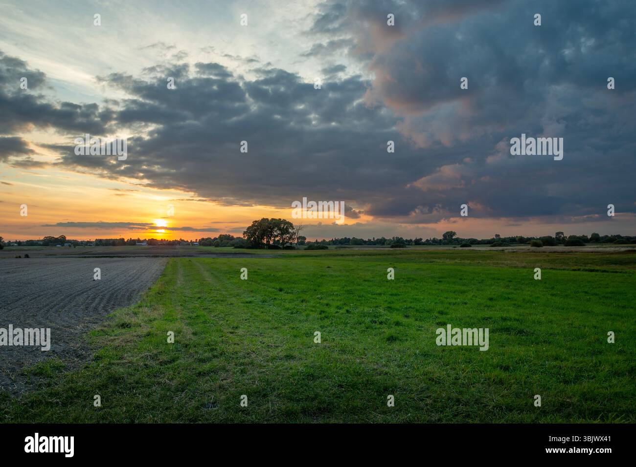 Nuages du soir du coucher du soleil sur la prairie verte à côté du champ Banque D'Images
