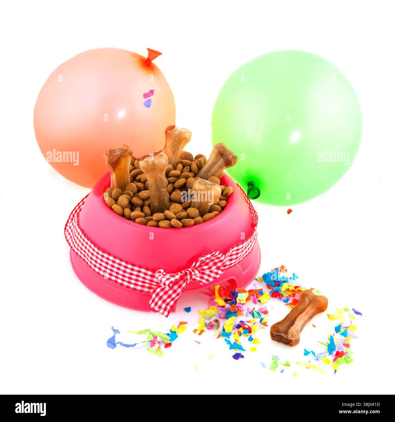 International animal jour Banque D'Images