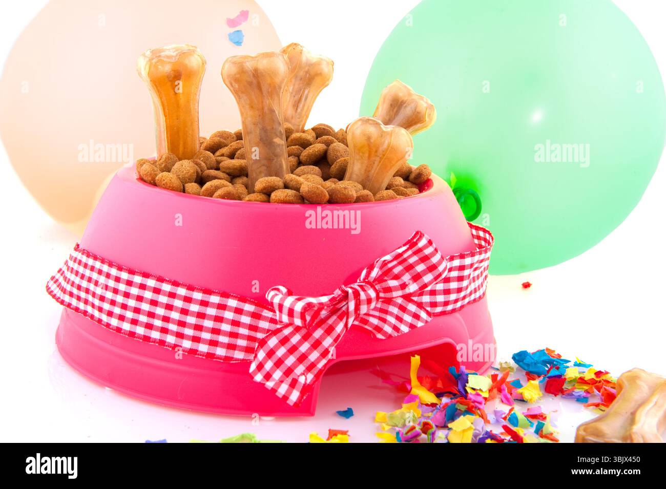 International animal jour Banque D'Images