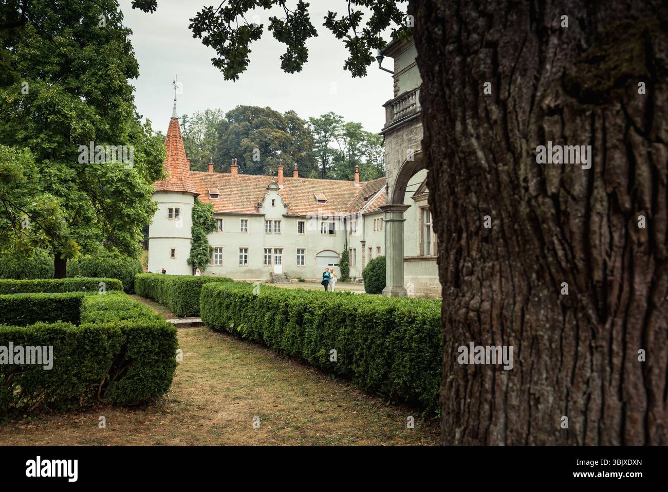 Château de Beregvár aka Palais des Comtes Schönborn. Vieux bâtiment en Transcarpathie entouré de grands arbres anciens. Banque D'Images