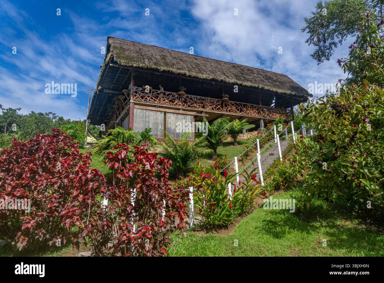 Restaurant au toit de chaume au Yarina Ecolodge près de la rivière Napo dans le bassin amazonien de l'Équateur. Banque D'Images