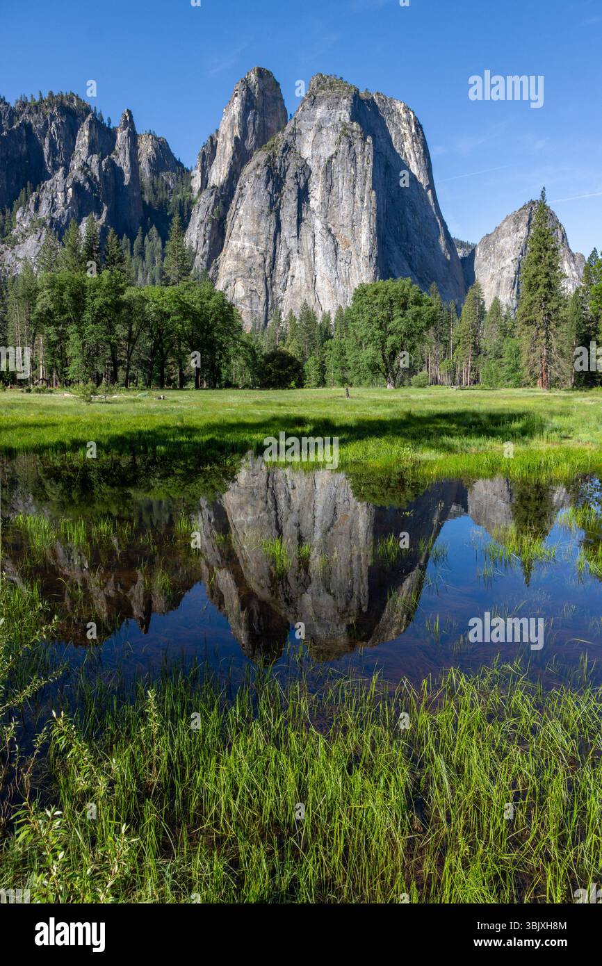 La Cathédrale Rocks réflexion dans le parc national de Yosemite dans un vert Meadow.h Banque D'Images