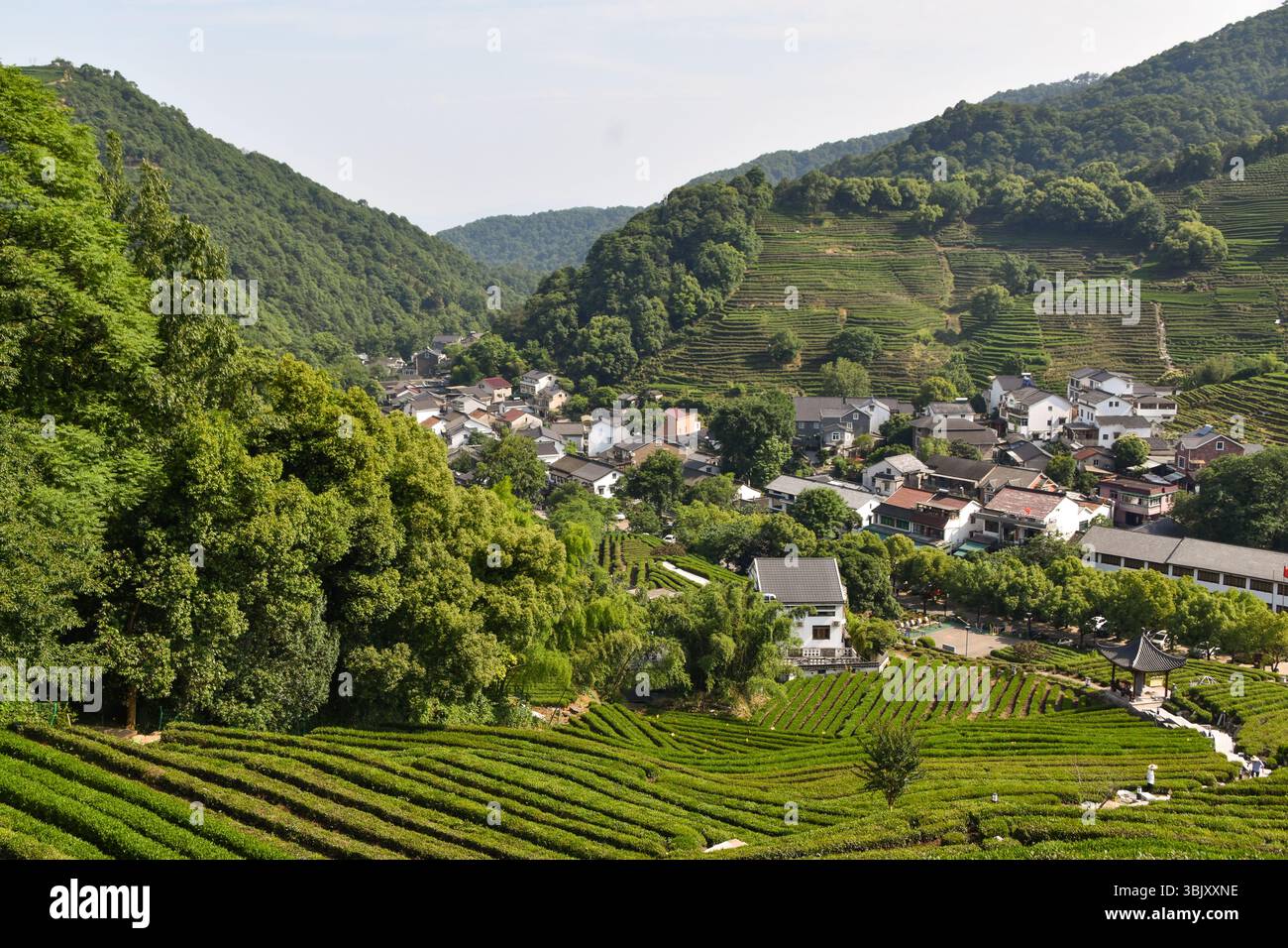 Un village chinois au-delà des terrasses de thé Longjing à Hangzhou, dans l'est de la Chine Banque D'Images