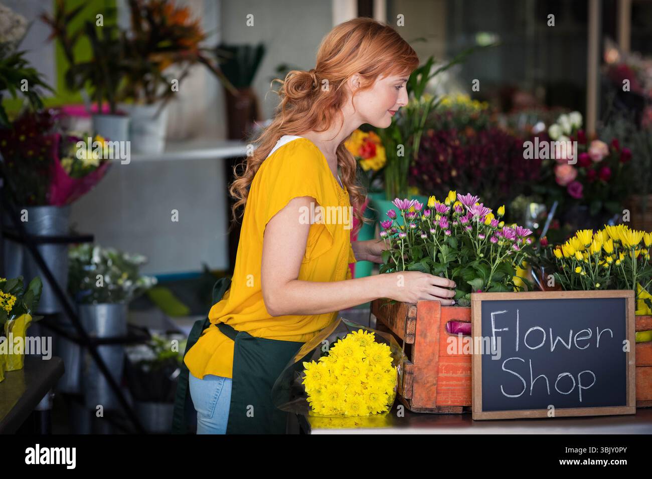 Fleuriste arrangeant des chrysanthèmes colorés et des marguerites sur le comptoir en bois à l'intérieur du magasin de fleurs Banque D'Images