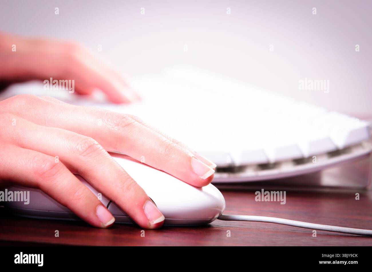 Mains d'une femme utilisant la souris et le clavier Banque D'Images