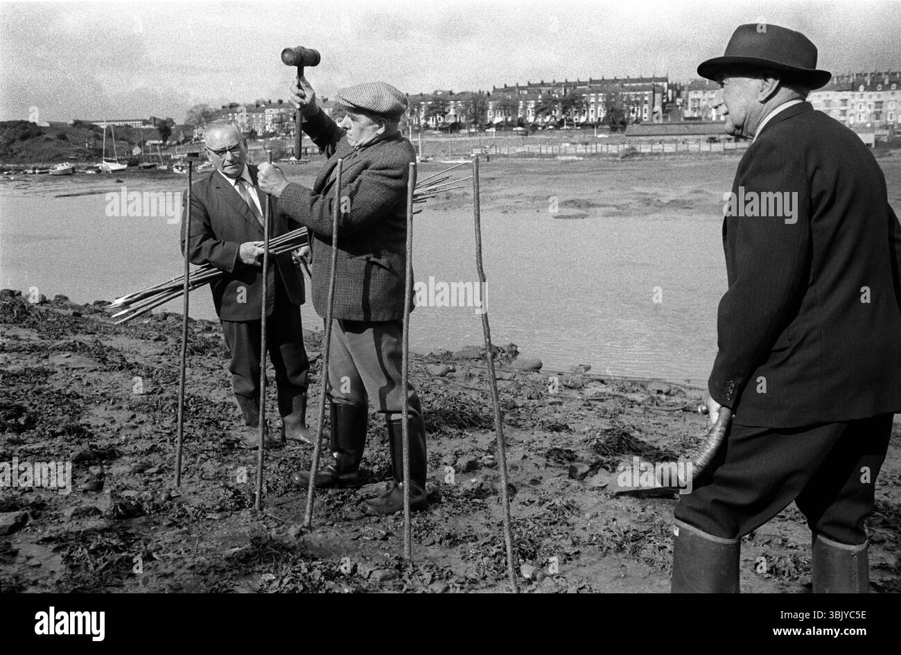 Whitby Penny Hedge ou Horngarth se déroule sur une petite plage connue sous le nom de Boyes Staith. Le Penny Hedge est construit pour résister à trois marées. Construire la haie le Hornblower avec la corne à la main. Whitby North Yorkshire. Angleterre 1973 Royaume-Uni 1970s HOMER SYKES Banque D'Images