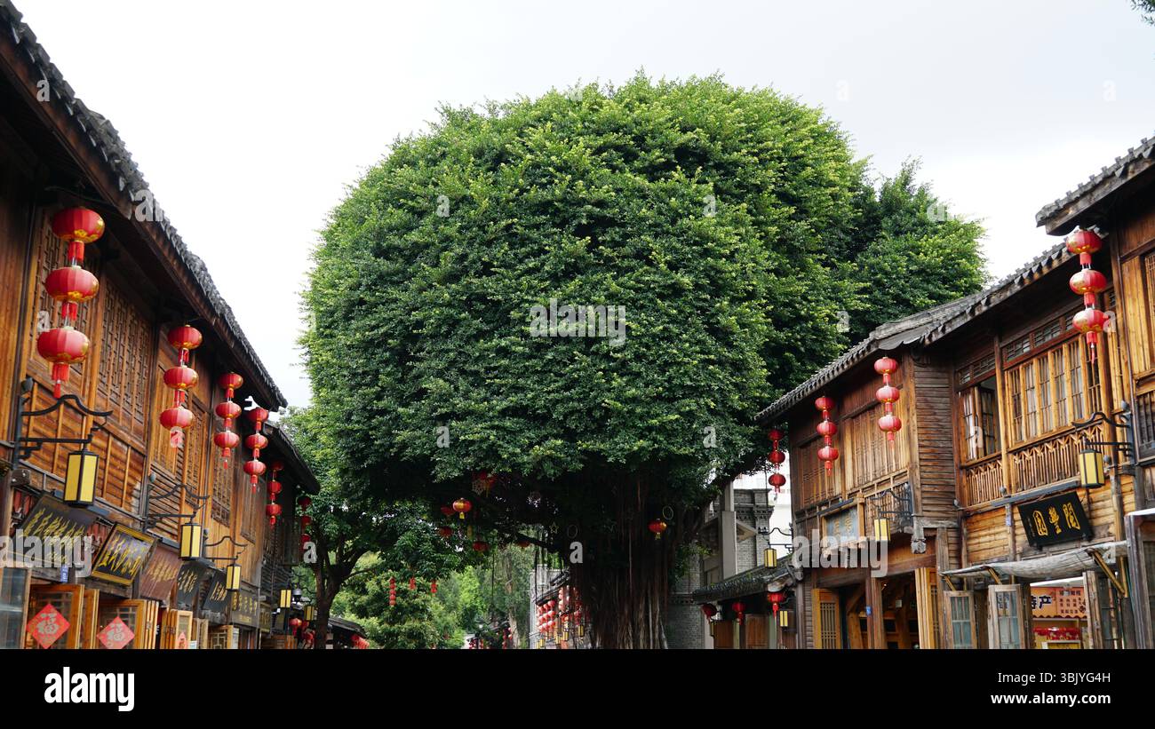 Three Lanes and Seven Always à Fuzhou – Une promenade dans le quartier culturel historique de la Chine Banque D'Images