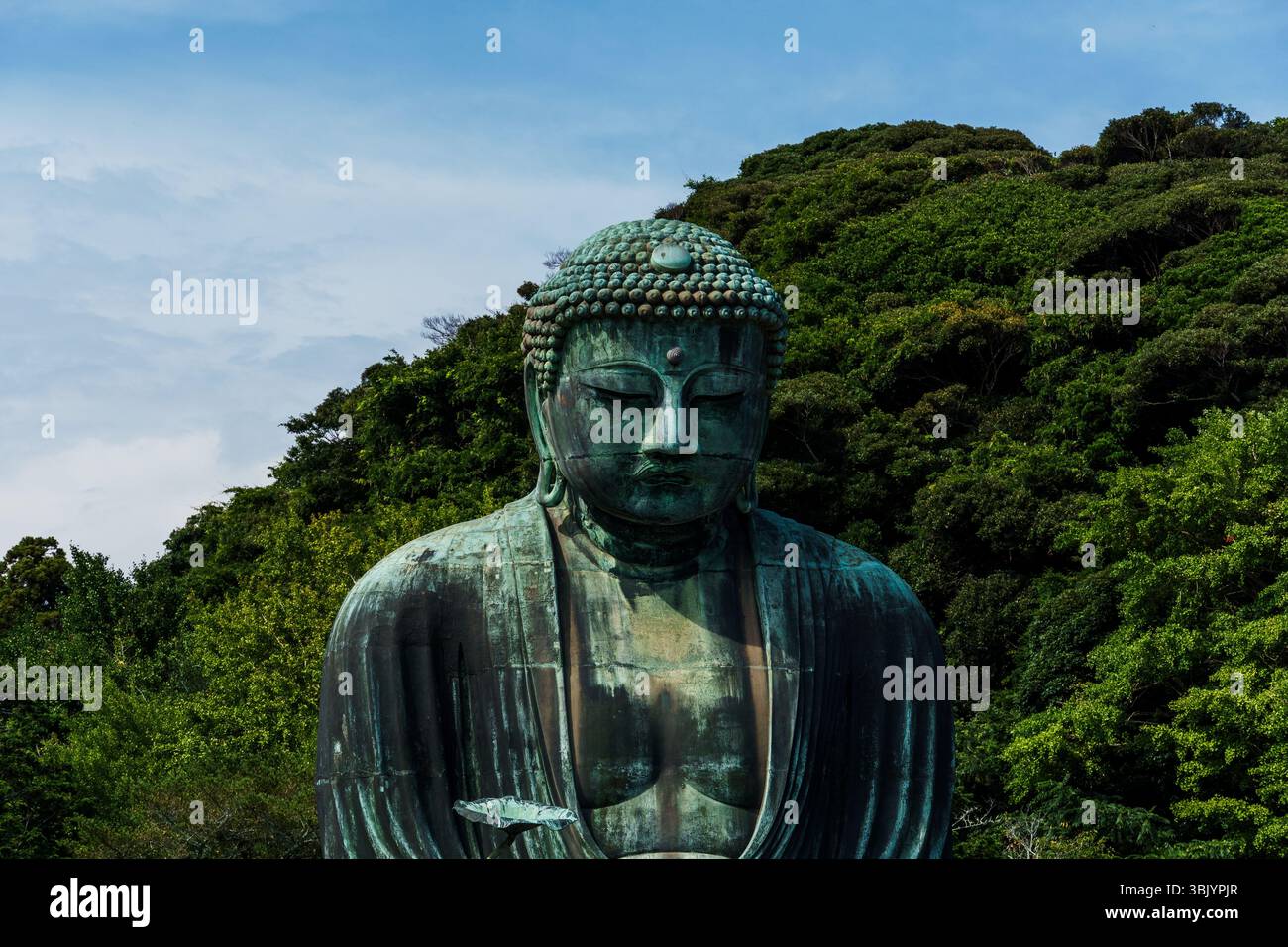 Le serein Kamakura Daibutsu, une statue de Bouddha en bronze au Japon, se dresse paisiblement au milieu des arbres verts. Banque D'Images