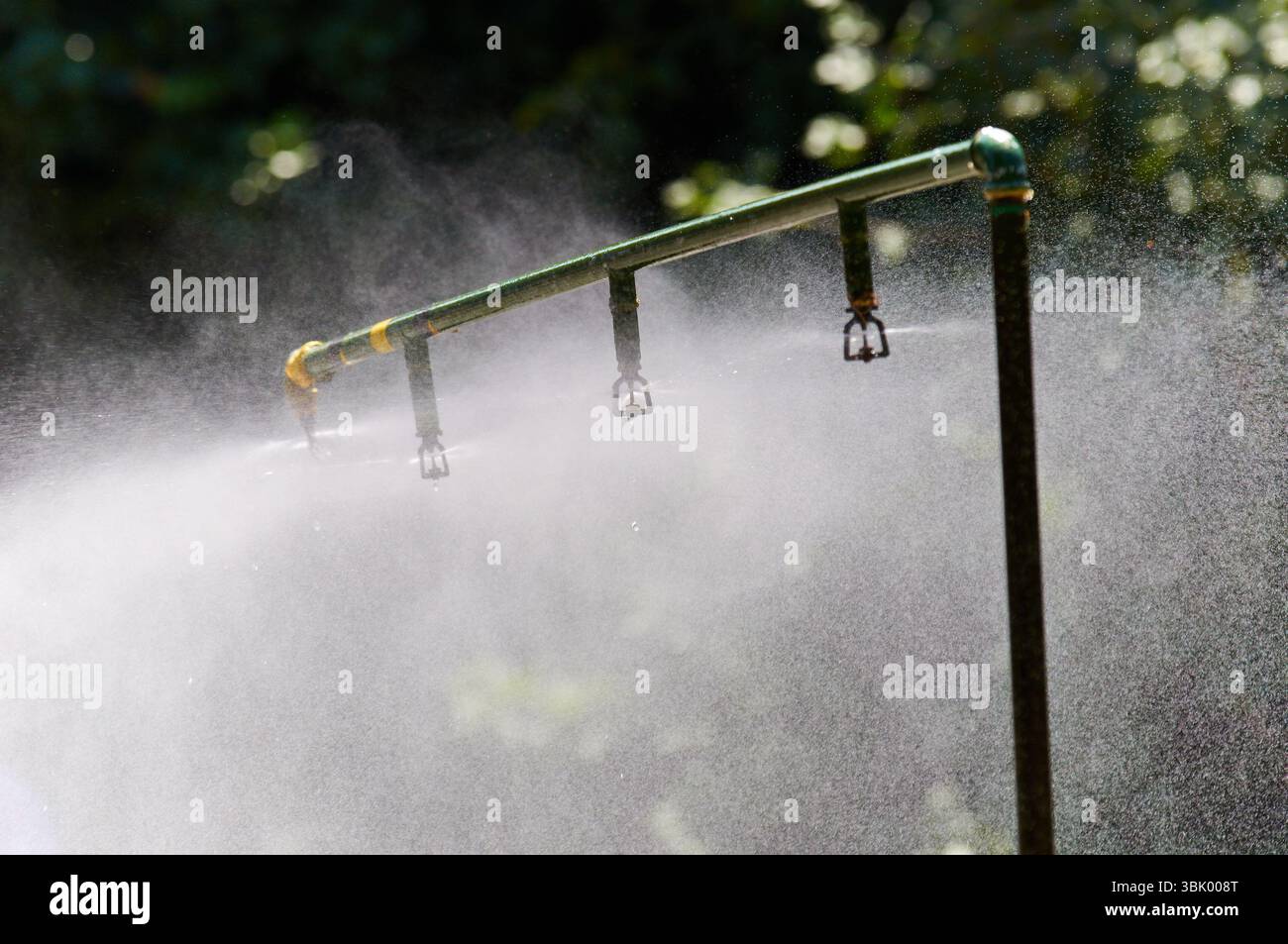 Saupoudrez en action en été Banque D'Images