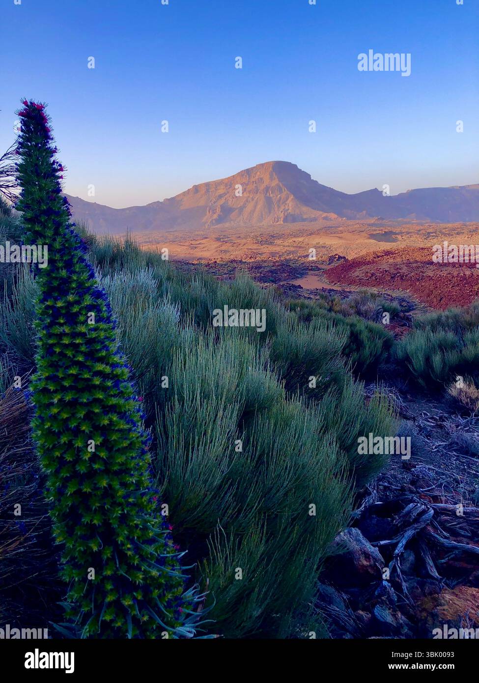 Scène désertique sur l'île de Tenerife dans le parc national El Teide en Espagne Banque D'Images