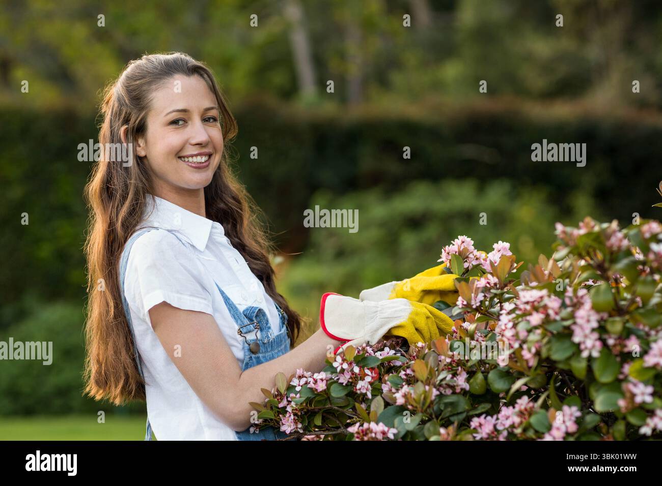 Femme portant une combinaison en denim et des gants jaunes taillant des fleurs d'arbustes roses dans la cour arrière, espace copie Banque D'Images